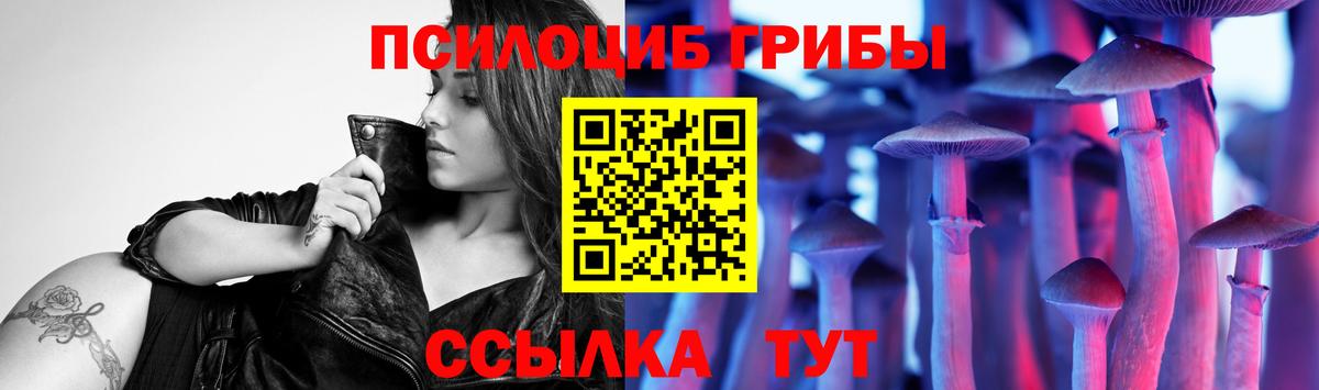 Псилоцибиновые грибы GOLDEN TEACHER Малгобек